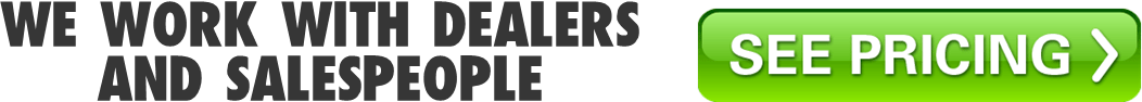 Internet car sales marketing system